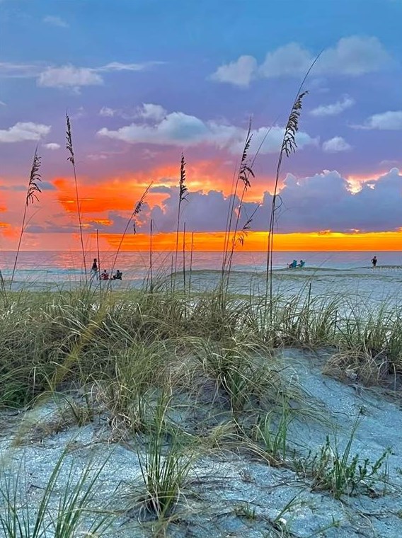 5262 Myrtle Wood, Sarasota FL  34235-4606 exterior