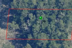 9861 N Baldwin Terrace, Dunnellon, FL 34434 - Photo 1