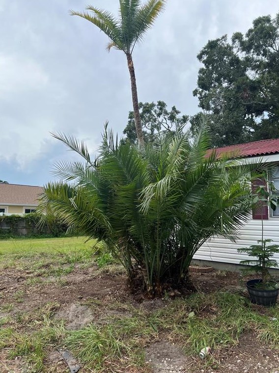 2633 20th St, Sarasota FL  34234-7805 exterior