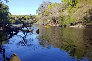 309 Shore T Rd, Nokomis, FL 34275 - Photo 43