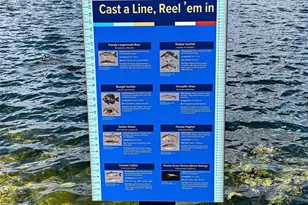 225 Brighton Ct, Englewood, FL 34223 - Photo 63