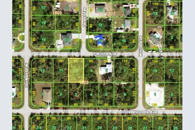 12419 Perrine Avenue, Port Charlotte, FL 33981 - Photo 7