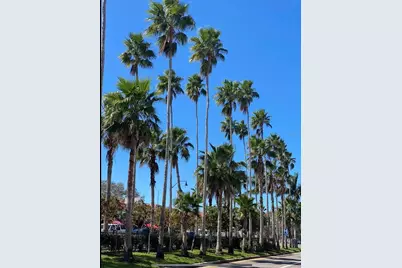 411 Lackland Street, Port Charlotte, FL 33953 - Photo 9