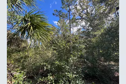 5650 W Kettle Lane, Crystal River, FL 34429 - Photo 11