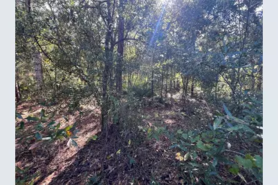 5650 W Kettle Lane, Crystal River, FL 34429 - Photo 13