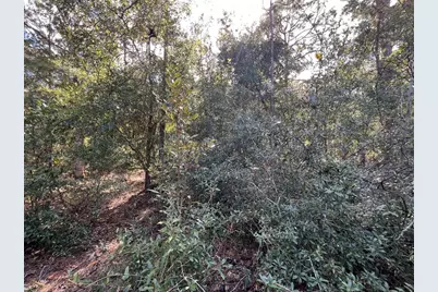 5650 W Kettle Lane, Crystal River, FL 34429 - Photo 15