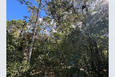 5650 W Kettle Lane, Crystal River, FL 34429 - Photo 17