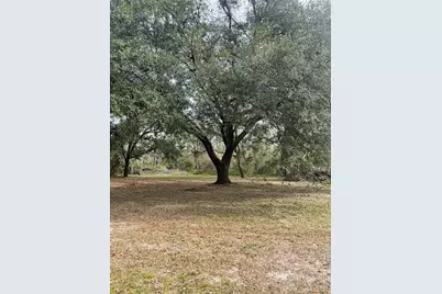 12355 Doris Road, Parrish, FL 34219 - Photo 11
