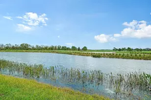 17815 Gawthrop Dr, Bradenton, FL 34211 - Photo 37