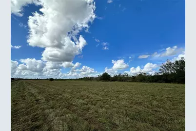 Wauchula Road, Myakka City, FL 34251 - Photo 7