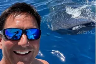 6304 Beechwood Ave, Sarasota, FL 34231 - Photo 39