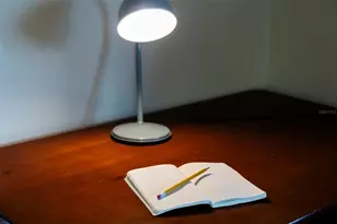 619 Cedars Ct, Longboat Key, FL 34228 - Photo 89