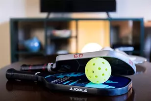 619 Cedars Ct, Longboat Key, FL 34228 - Photo 87