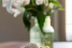 619 Cedars Ct, Longboat Key, FL 34228 - Photo 91