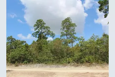 2635 Leonard Drive, Deltona, FL 32725 - Photo 3