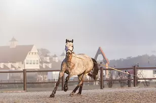 32206 Grand National Dr, Myakka City, FL 34251 - Photo 23