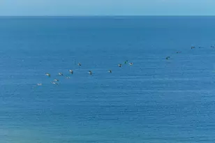 1800 Benjamin Franklin Dr, Sarasota, FL 34236 - Photo 51