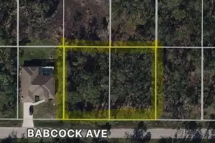 13188 & 13196 Babcock Ave, Port Charlotte, FL 33953 - Photo 1