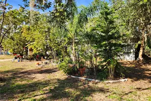 3181 Irving St, Sarasota, FL 34237 - Photo 3