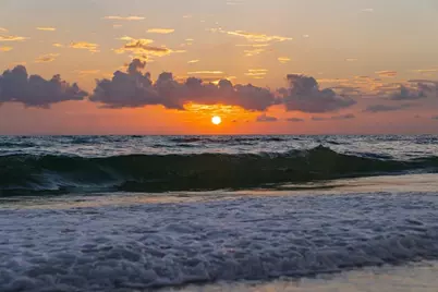 329 Tarpon Street, Anna Maria, FL 34216 - Photo 47