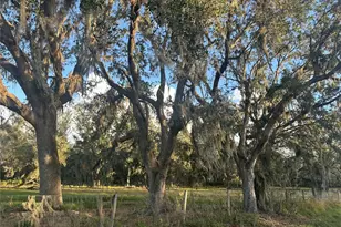 [Address not provided], Wauchula, FL 33873 - Photo 1