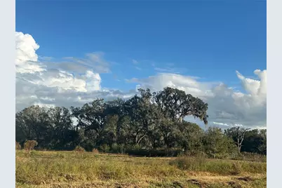 0 Polk Road, Wauchula, FL 33873 - Photo 3