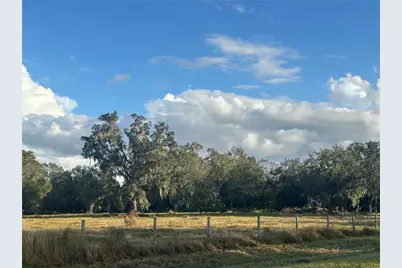 0 Polk Road, Wauchula, FL 33873 - Photo 15