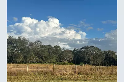 0 Polk Road, Wauchula, FL 33873 - Photo 13