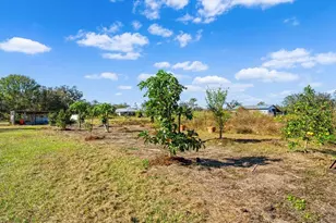 14900 Coker Gully Rd, Myakka City, FL 34251 - Photo 37