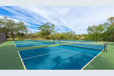 527 Spring Lakes Boulevard, Bradenton, FL 34210 - Photo 41