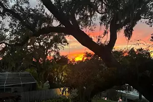 1827 Baywood Dr, Sarasota, FL 34231 - Photo 51