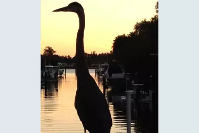 1827 Baywood Drive, Sarasota, FL 34231 - Photo 53