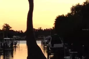 1827 Baywood Dr, Sarasota, FL 34231 - Photo 51