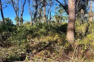 Lot 5 Gravelmann Rd, North Port, FL 34291 - Photo 1