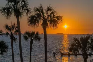 988 Blvd of the Arts, Sarasota, FL 34236 - Photo 45