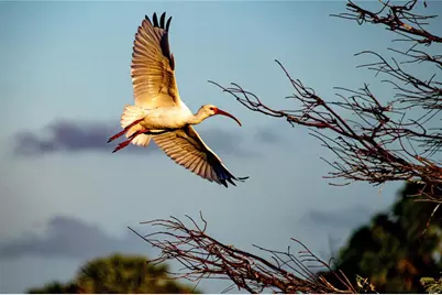 1323 Landings Drive #12, Sarasota, FL 34231 - Photo 51