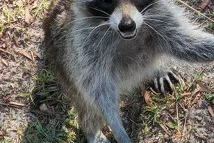 39200 Cook Brown Rd, Punta Gorda, FL 33982 - Photo 13