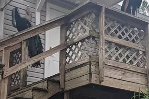 39200 Cook Brown Rd, Punta Gorda, FL 33982 - Photo 25