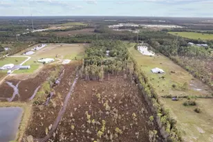 39200 Cook Brown Rd, Punta Gorda, FL 33982 - Photo 31