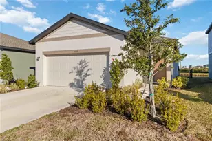10435 Ladybug Cv, Parrish, FL 34219 - Photo 3