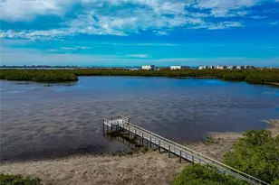 829 Audubon Dr, Bradenton, FL 34209 - Photo 53