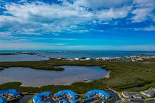 829 Audubon Dr, Bradenton, FL 34209 - Photo 37