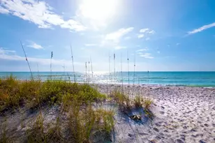 2550 Harbourside Dr, Longboat Key, FL 34228 - Photo 49