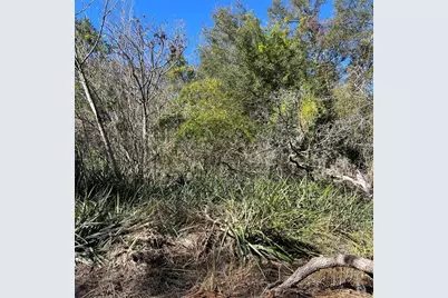 0 Durden Road, Dade City, FL 33523 - Photo 3