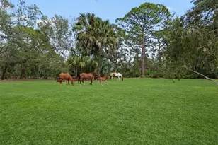 1343 Ranchero Dr, Sarasota, FL 34240 - Photo 9