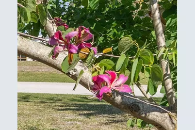 6796 Gasparilla Pines Boulevard #45, Englewood, FL 34224 - Photo 31