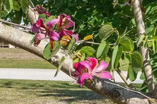 6796 Gasparilla Pines Blvd, Englewood, FL 34224 - Photo 31