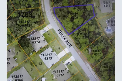 Felix Avenue, North Port, FL 34288 - Photo 1
