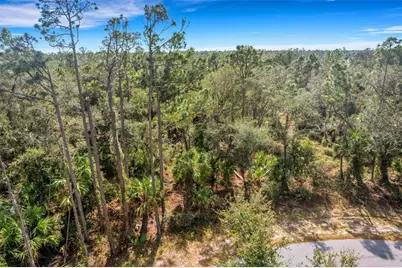 Lot 4 Jagust Road, North Port, FL 34288 - Photo 9