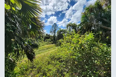 Lot 4 Jagust Road, North Port, FL 34288 - Photo 23